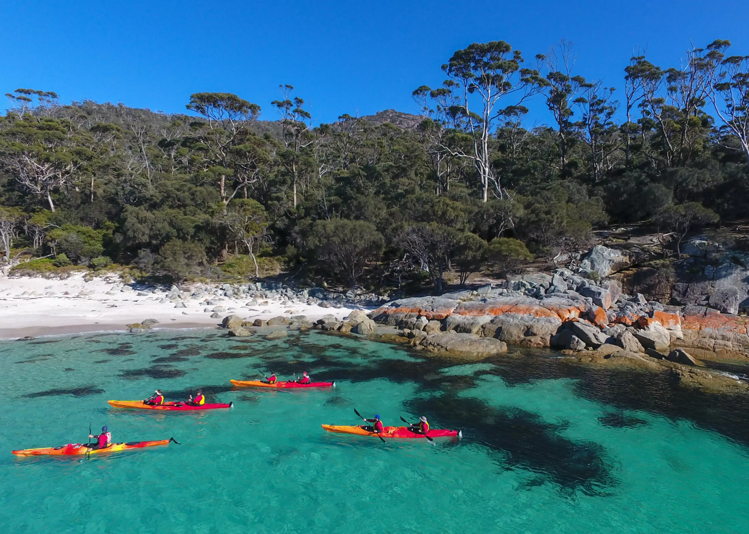 group of kayakers by beautiful coast