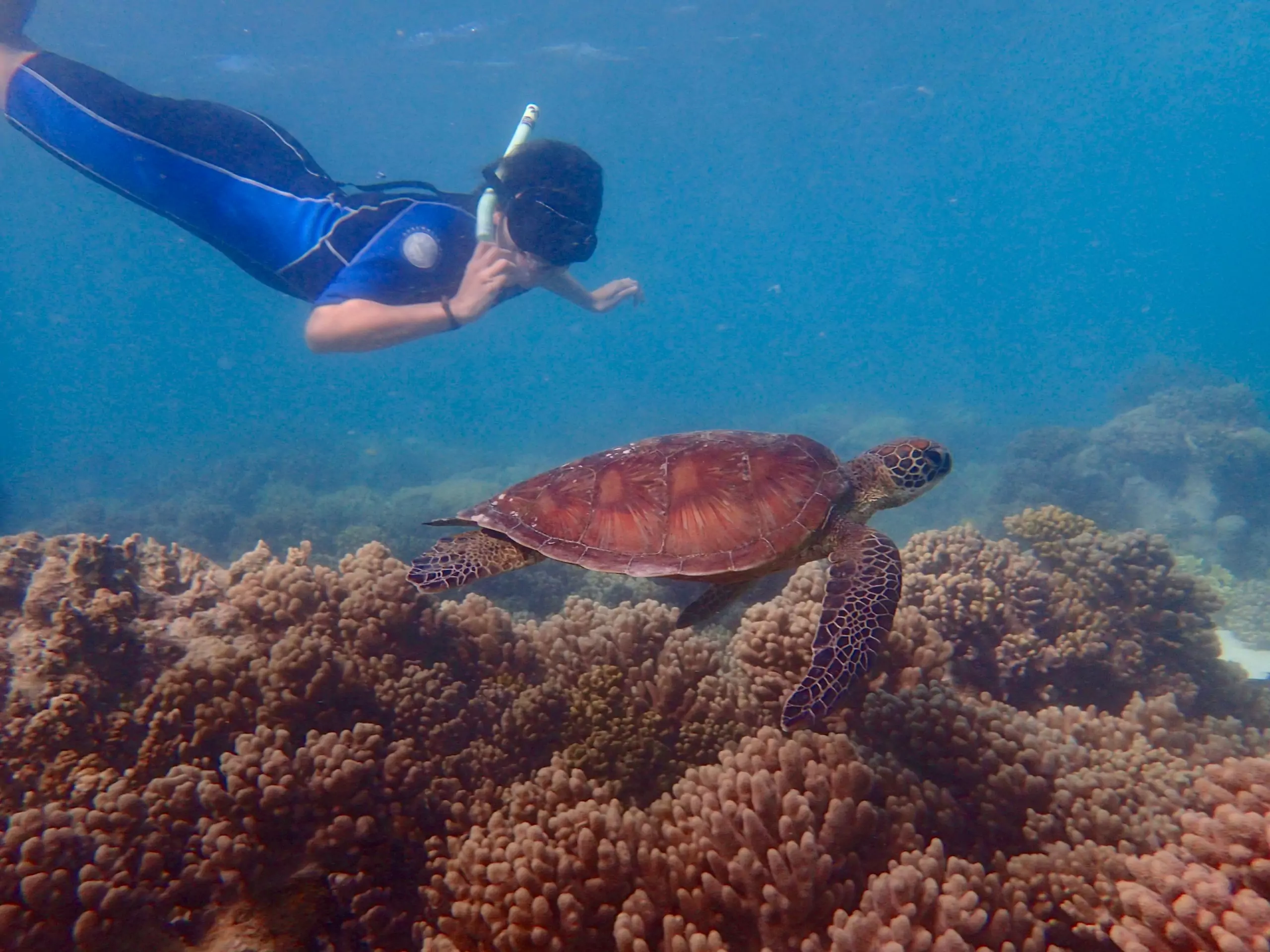 kayak trips queensland