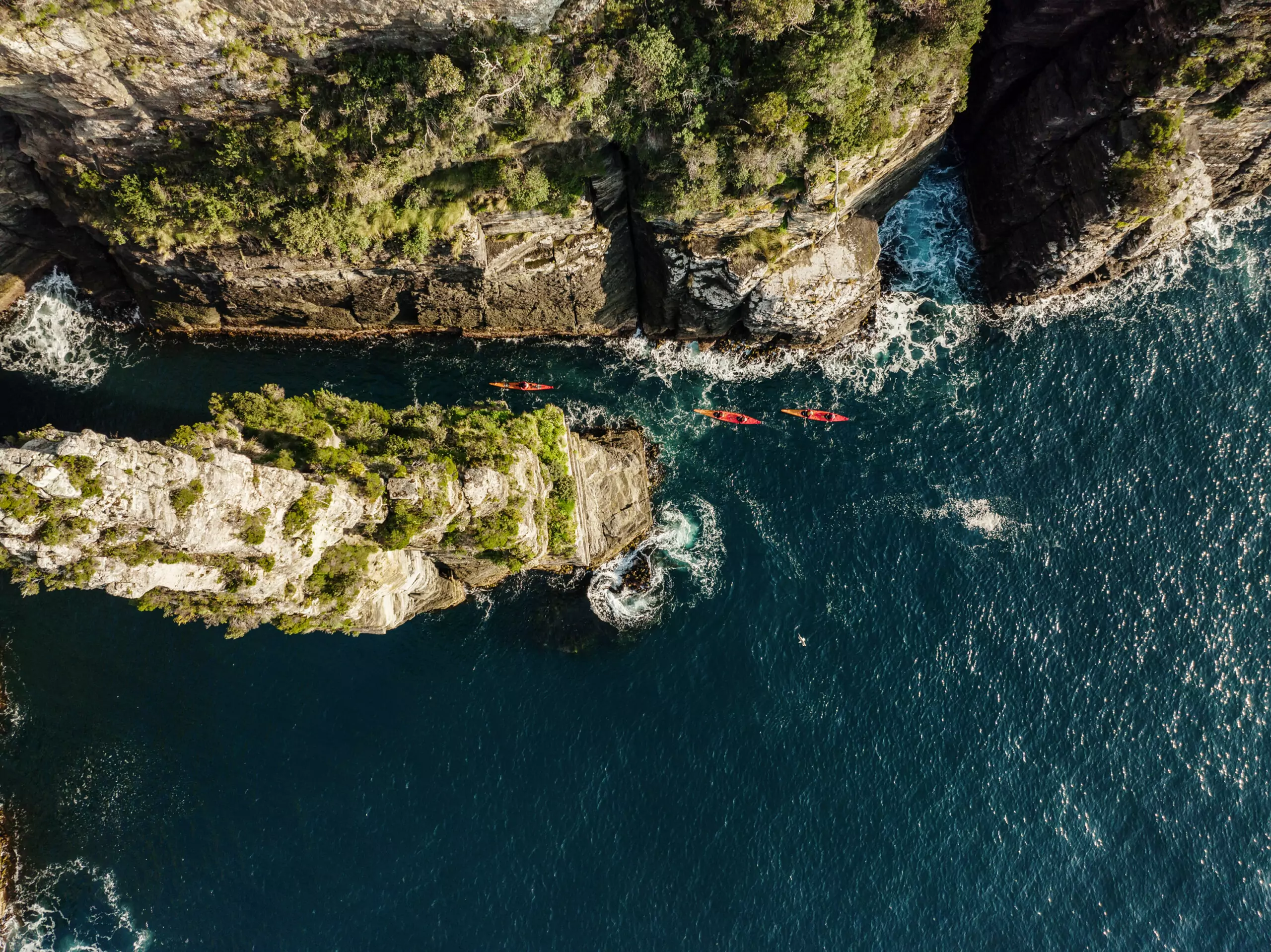 kayak tour tasmania